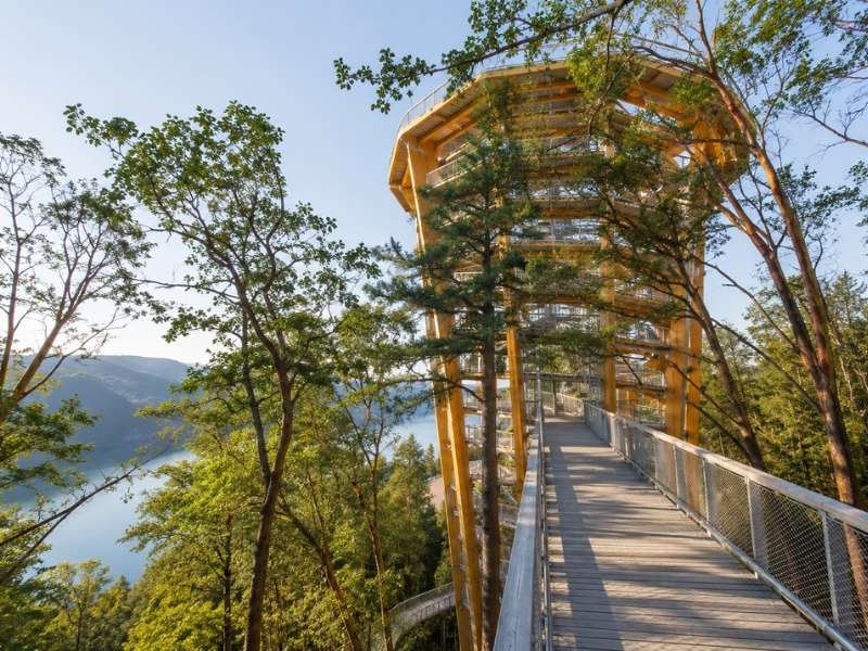 photo Malahat Skywalk