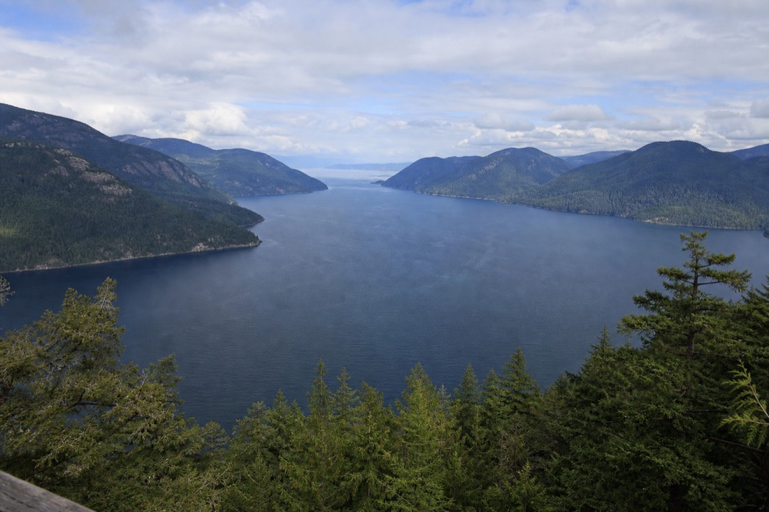 The view over Saanich Inlet from the top of the Malahat Skywalk