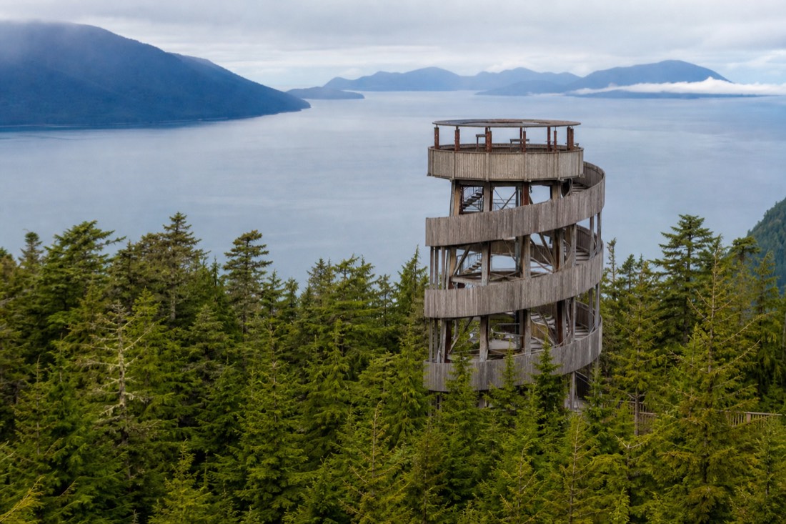 The Raven's Nest spiral tower rising above the forest canopy