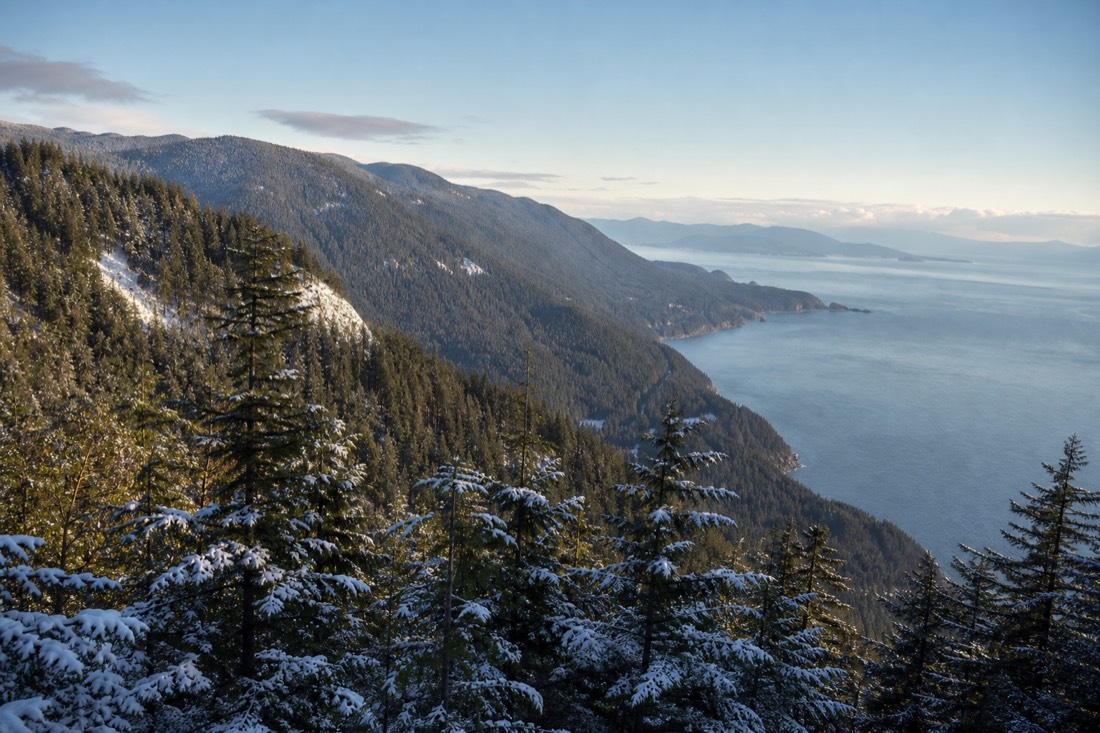 The Malahat Skywalk in winter