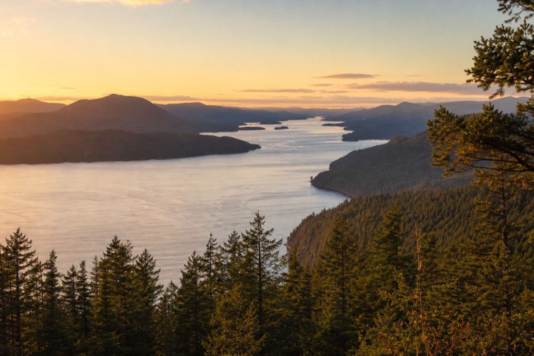 Golden-hour light over Saanich Inlet from the Skywalk